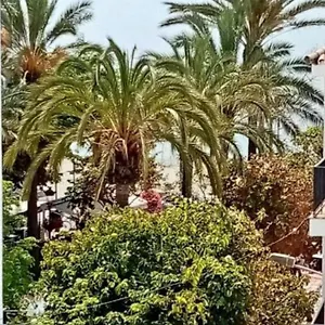  Appartement Old Town Spanje