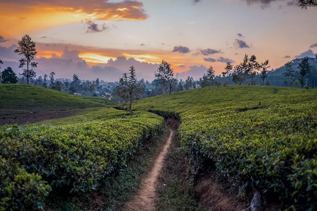 Langdale Boutique Hotel By Amaya Nuwara Eliya 0*,
